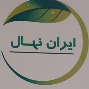 نهالستان و نهال فروشی ایران نهال سجاد همراهی