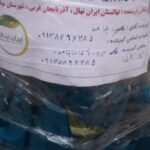نهالستان و نهال فروشی ایران نهال سجاد همراهی
