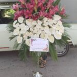 گلسرایی یعقوبی