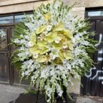 گلسرایی یعقوبی