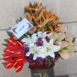 گلسرایی یعقوبی