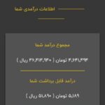 کسب‌ درآمد اینترنتی از کارسود