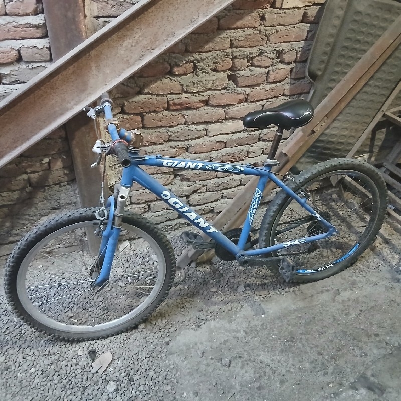 دوچرخه
