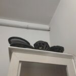 بلند گو مینی بوس