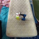 مبلشویی همشهری